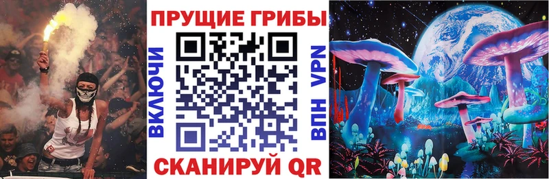 площадка состав  Алупка  Псилоцибиновые грибы Magic Shrooms 